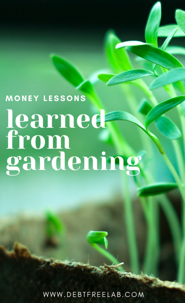 Save money and perfect your budget with these surprising money lessons I learned while gardening. As a beginner gardener, I never thought gardening would teach me anything. However, personal finances and gardening surprisingly have a LOT in common. Find out how today! #savemoney #savemoneytips #savemoneyideas #frugalliving #budget #budgetting #howtosavemoney #waystosavemoney #savemoneyhacks #gardening #vegetablegardening #gardeningforbeginners